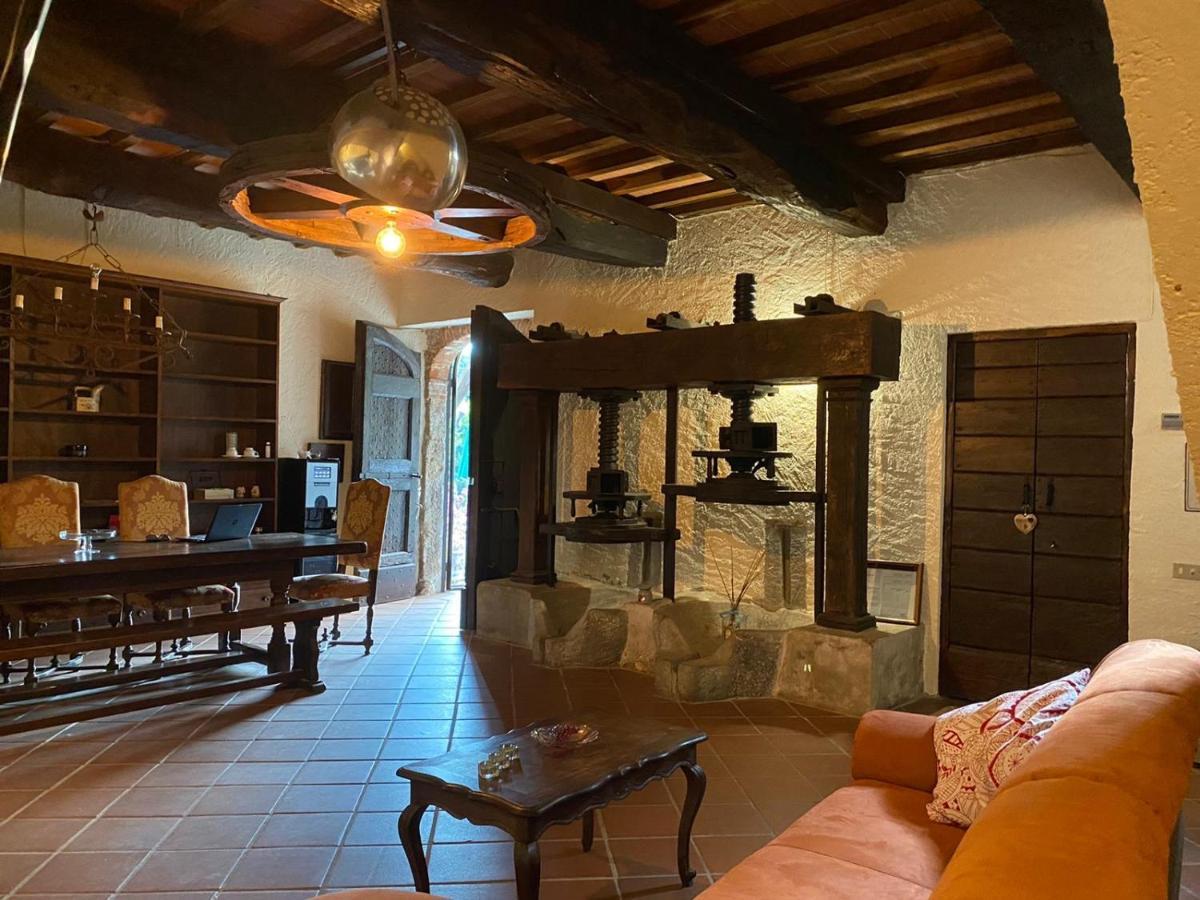Guest House Antico Frantoio Pietrasanta Affittacamere Exterior photo