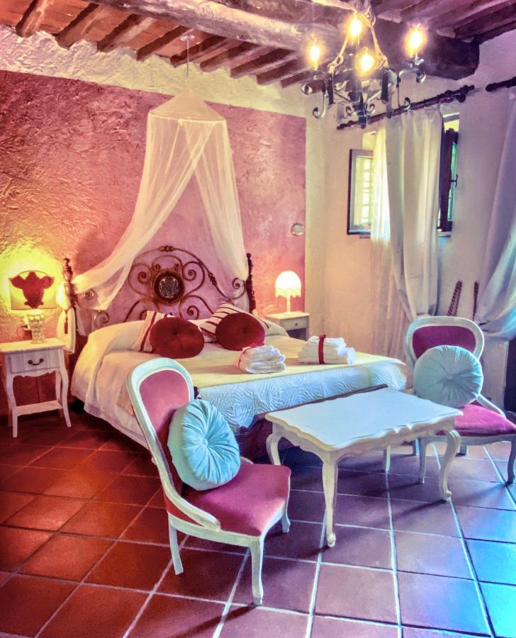 Guest House Antico Frantoio Pietrasanta Affittacamere Exterior photo