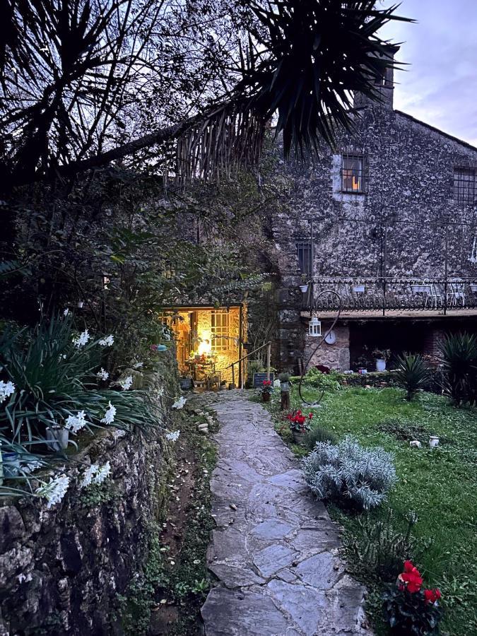 Guest House Antico Frantoio Pietrasanta Affittacamere Exterior photo