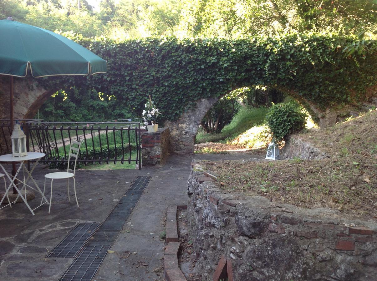 Guest House Antico Frantoio Pietrasanta Affittacamere Exterior photo